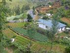 Cosy Cottage - Nuwara Eliya