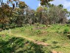 COTTAGE FOR SALE BANDARAWELA