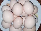 Country Chicken Eggs