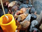 country chicken