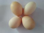 Eggs-බිත්තර
