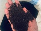 Cow Dung Fertilizer
