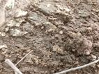 Cow Dung Fertilizer
