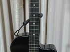 Cowboy 38BK Acoustic Guitar