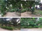 CP35798 - 24 Perches of Multi-Purpose Land for Sale in Colombo 10