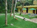 CP37616 - 55 Perches 06 Rooms Hotel for Sale in Negombo