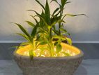 Cracked earth - wall sconce