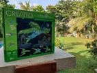 Creatto Soaring Dragon 3D Light Up Puzzle