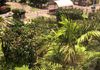 Crestcat Residencie Apartment for Sale Colombo 03