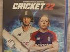 Cricket 22