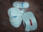 Cricket Set