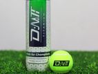 Cricket Ball ( D.M.T. TITANIUM )