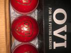 Cricket ball