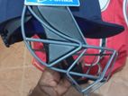 Cricket Bat with Helmet