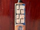 Cricket Bat