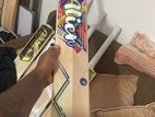 Cricket Bat