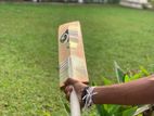 SG Sunny Gold Cricket Bat