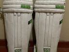 Cricket Batting SS Pad