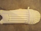 Cricket Batting Pads