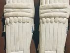Cricket Equipment Set