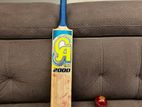 Cricket Bat with Ball