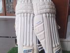 Cricket Pads