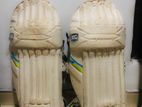 Cricket Equipments Set