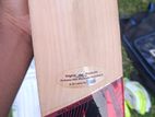 Cricket Full Kit