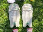 Cricket Full Set with Bat