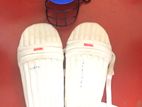 Cricket Helmet and Pads