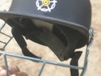 Cricket Helmet