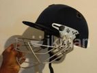 Cricket Helmet