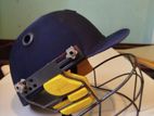 Cricket Helmet