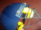 Cricket Helmet