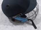 Cricket Helmet