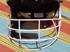 cricket helmet