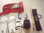 Cricket item
