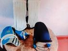 Cricket Items Set
