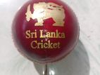 Cricket Leather Ball