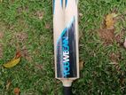 Cricket Leather Bat