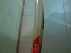 Cricket Leather Bat