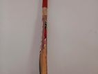 Cricket Leather Bat