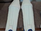Cricket Leather Set