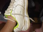 Cricket Nail Shoe