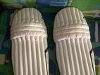 Cricket Pads