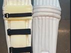 Cricket Pad