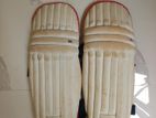 Cricket Pads
