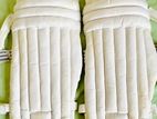 Cricket Pads Set