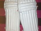 Cricket Pads (SG)