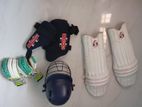 Cricket Set